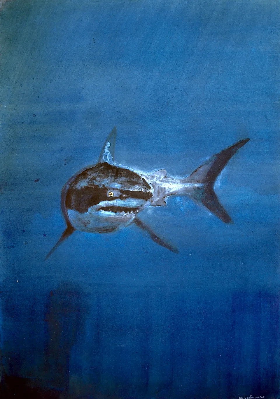 Francesco Santosuosso, Carcarodon carcarias, 2024, acquarello su carta, 35×50 cm