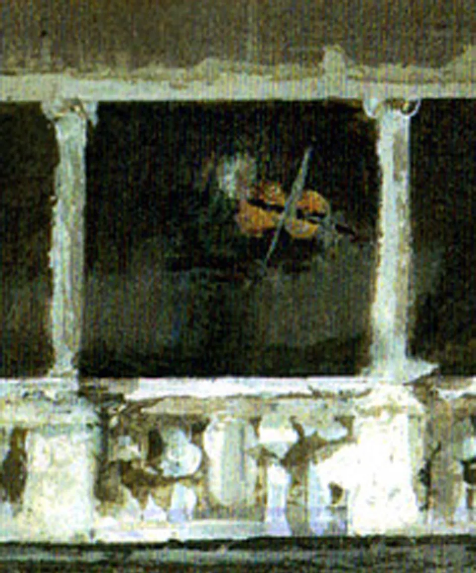 Francesco Santosuosso, Particolare del dipinto VILLA SIMONETTA 2