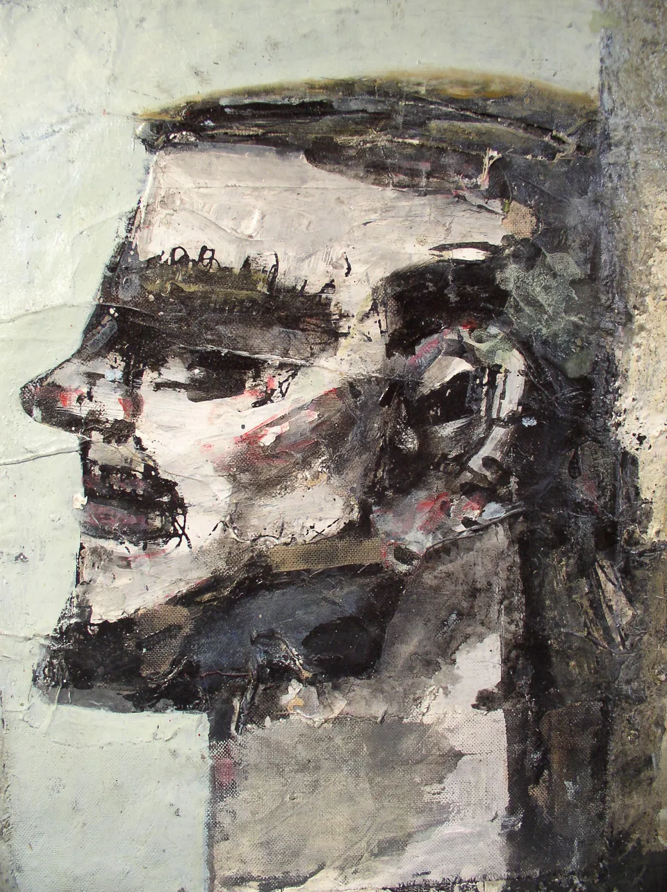 Francesco Santosuosso, Profilo 8